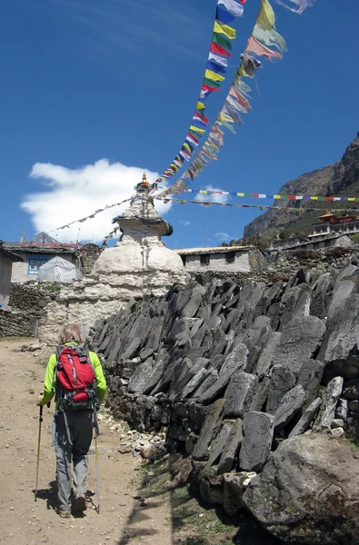 Nepal. Everest yürüyüş yolu