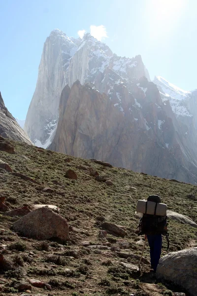 Dağ manzarası. Pakistan. Gilgit bölge