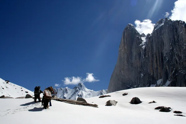 Porteiros paquistaneses. Ajuda aos alpinistas a chegar ao acampamento base . — Fotografia de Stock