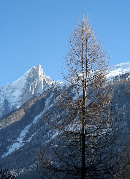 Mon Blanc kalemi ve Chamonix, panoramik manzaralı.