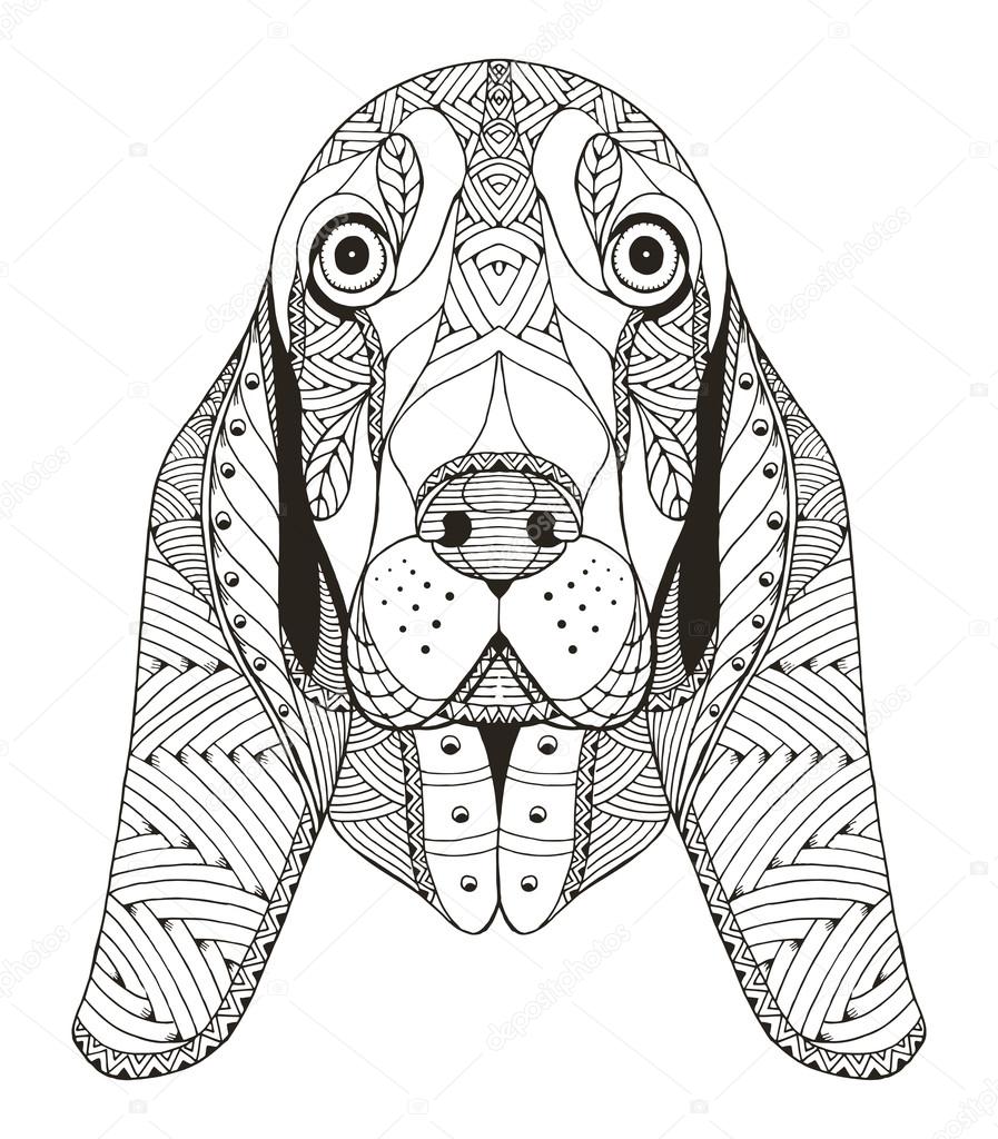 Basset hound head zentangle stylized, vector, illustration, freehand pencil, hand drawn, pattern. Zen art. Ornate vector. Lace.
