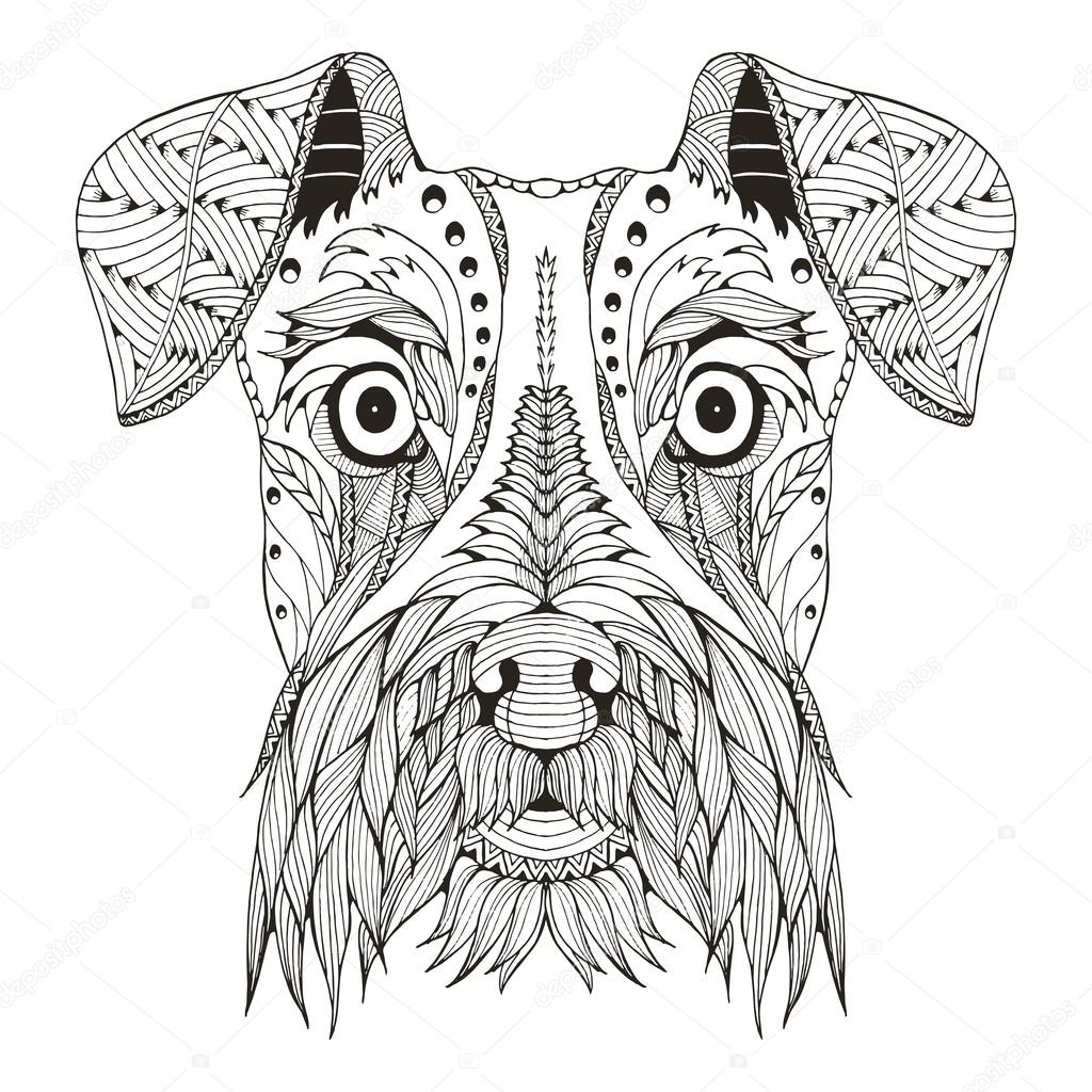 Schnauzer dog head zentangle stylized, vector, illustration, freehand pencil, hand drawn, pattern. Zen art. Ornate vector. Lace. Print for t-shirt.