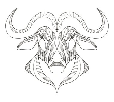 African buffalo head zentangle stylized, vector, illustration, freehand pencil, hand drawn, pattern.