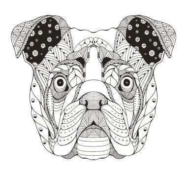 İngilizce bulldog baş zentangle stilize, vektör, illüstrasyon, freehand kalem, el çizilmiş, desen. Zen sanatı. Süslü vektör. Dantel.