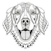 Golden retriever dog zentangle stylized head, freehand pencil, hand drawn, pattern. Zen art. Ornate vector.