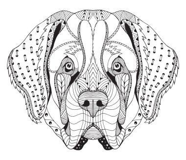Saint Bernard köpek zentangle stilize kafa, freehand kalem, el çizilmiş, desen. Zen sanatı. Süslü vektör. Boyama kitabı.
