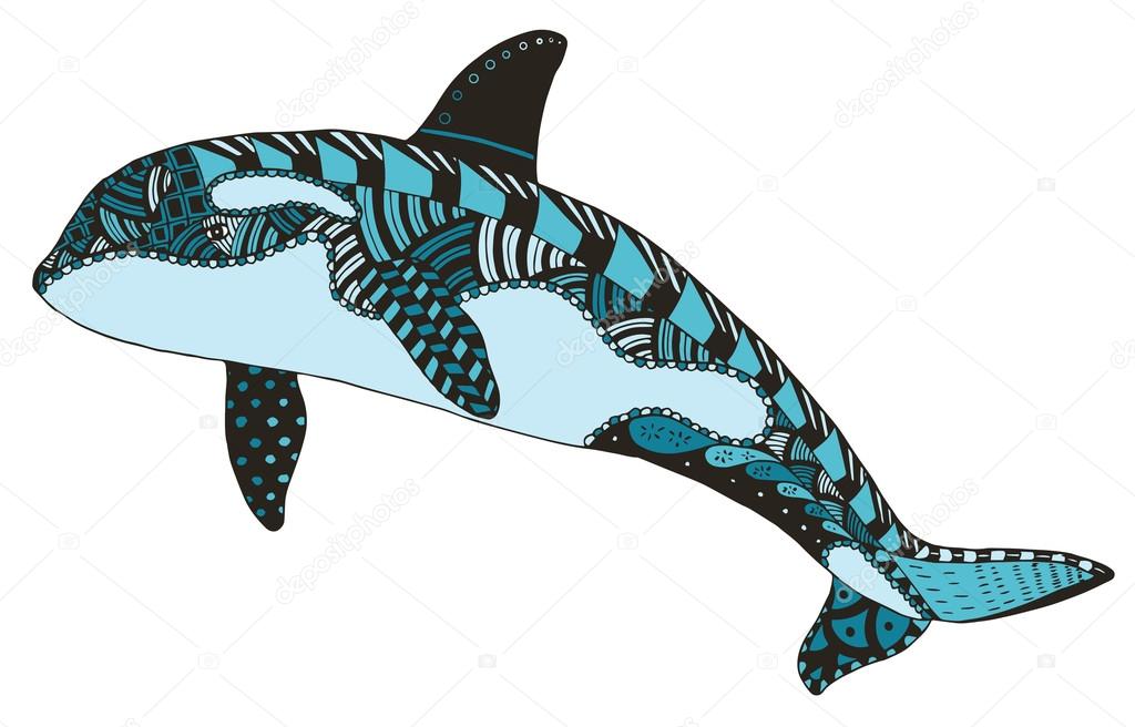 Killer whale zentangle stylized, vector, illustration, freehand pencil, hand drawn, pattern, orca.