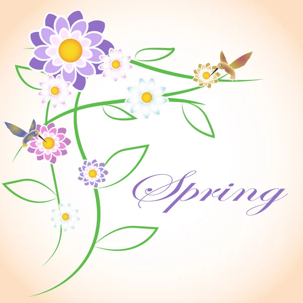 Jarní květiny a ptáci colibri. — Stockový vektor