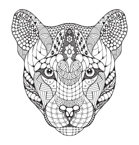 Cougar, mountain lion, puma, panther head zentangle stylized, vector, illustration, pattern, freehand pencil, hand drawn. Zen art. 