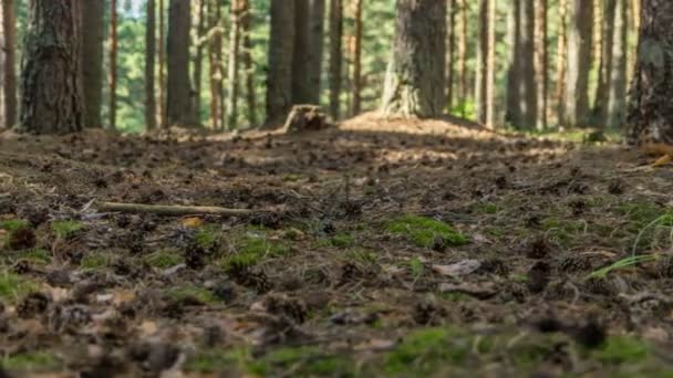 Décalage horaire, Jour, Rybinsk, curseur, En haute qualité 