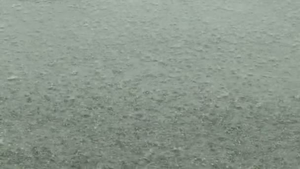 Letni deszcz dzień — Wideo stockowe