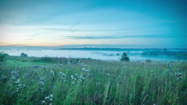 Atardecer de verano y lapso de tiempo de niebla — Vídeos de Stock