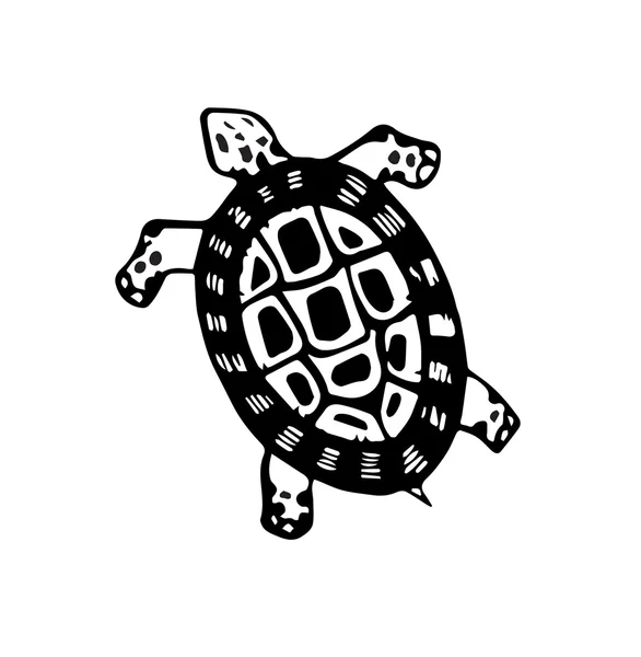 A little Tortoise — Stock Vector