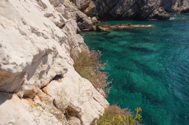 hayatta kalmak için mücadele