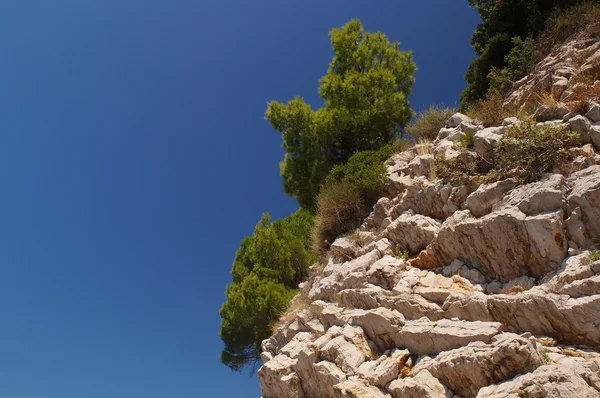 Montanhas em camadas em Montenegro, um magnífico pinho perfumado, céu azul e padrão natural Budva . — Fotografia de Stock