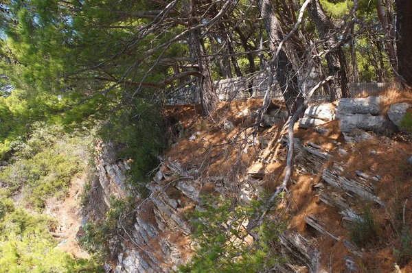 Kayalık sahil, güvenlik çit, flora için tehdit — Stok fotoğraf