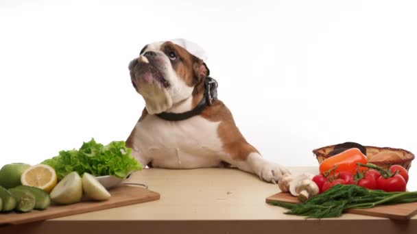 bulldog inglês alimentos saudáveis