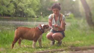şirin Bulldog yalama dondurma kadın elinde