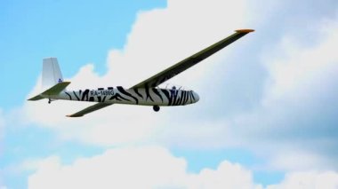 Bir zebra uçak gökyüzünde uçuyor
