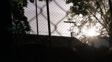 Kızıl Tilki hayvanat bahçesinde saklanıyor