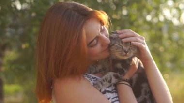 Scottish fold kedi genç güzel kız