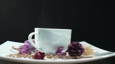 Kahve Siyah izole çiçek döndürme