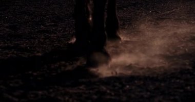 Equestian sporu ve aktif yaşam tarzı. At toynakları güneş batarken yere bassın. Toz ve duman girdapları. Ağır çekim. Hayvanlar konsepti. Yavaş çekim.