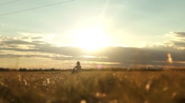 Hippi kız elinde gitarıyla buğday tarlasında yürüyor. Akustik enstrümanlı kadın doğanın ve güneş ışığının tadını çıkarıyor. İnsanlar, yaşam tarzı, öğrenci, ifade ve tarz kavramı