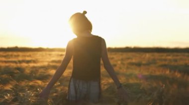 Yaz Sahasında Yürüyüş. Elleri Çiçeklere Dokunuyor. El buğday tarlasında çimenlere dokunur. Güneşin doğuşunda doğanın tadını çıkarıyor. Meadow 'daki güzel kız. Eller Arasında Güneş. Kız Sabah Gevşemesi.