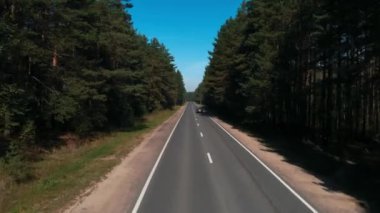 Güneşli bir sonbahar gününde, büyük bir çam ormanının ortasındaki yol dronunun yukarıdan görünüşü. Uzun ağaçlı yeşil ağaçların arasından geçen arabalar. Seyahat, ulaşım, doğa kavramı.