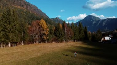 Yeşil ormanlarla dolu yüksek dağlarla muhteşem sonbahar manzarasının güzel drone görüntüsü. Tarlada koşan bir kadın el sallıyor. Doğa kavramı, kuadkopter.