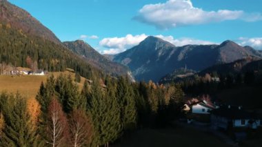 Yeşil ormanlı dağların muhteşem insansız hava aracı görüntüsü. Ormanın güzel manzarası, güneşli bir günde sıcacık evler. Doğa kavramı, manzara, hava..