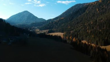 Uzun çam ağaçlarıyla dolu bir dağ sırasının güzel insansız hava aracı manzarası. Parlak güneşli bir günde devasa yeşil ormanlı fantastik doğal manzara. Seyahat kavramı, doğa..