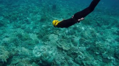Suyun altında yüzen kız. Siyah dalgıç kıyafetli, sarı yüzgeçli zarif bir kadın derinlere dalıyor. Esnek dalış dalgıcı deniz tabanında hayatı inceliyor. İnanılmaz güzellik ve renkler. Alışılmadık tatil kavramı