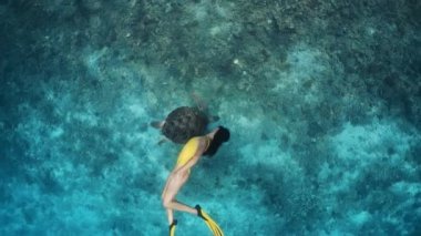 Serbest dalış ya da şnorkelle yüzme gezileri. Büyük kaplumbağa ve genç kız yavaş çekimde suyun altında birlikte yüzüyorlar. Okyanus ya da deniz kıyısındaki adalarda aktif tatiller. Tropikal hayvanlarla benzersiz temas.