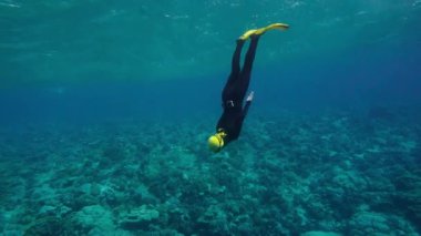 Tüplü dalış kıyafeti giyen kız suyun altında özgürce hareket ediyor. Tüplü dalış kıyafeti ve yüzgeçleri. Su altı dünyasının inanılmaz güzelliği. Derinlik ve berrak su. Alışılmadık rahatlama ve uyum kavramı