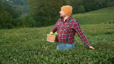 İşinin manzarası ve sonuçlarına hayran olan çiftçinin miğfer altı portresi. Adam elini hasadın yeşil yapraklarının üzerine sürdü. Elma sepeti olan erkek çiftçi manzaranın tadını çıkarıyor.