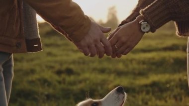 Randevudaki genç erkeklerin el ele tutuşması, küçük hayvan bakıcıları, güzel güneşli bir gün. Hipster ailesi akşam vakti yürüyüşe çıkıyor. Aşk ve yaşam tarzı kavramı.