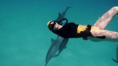 Denizde yunuslarla birlikte özgür bir kız. Akıllı ve güzel deniz memelileri sualtı evlerinde yüzerler. Mısır 'da Kızıl Deniz' in berrak suları. Bir grup tatlı, bedava şişe burunlu yunus yüzüyor.