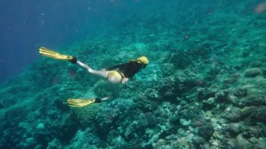 Freediver denizde mercan resifini araştırıyor. Serbest dalış, bir insanın nefesini tutarak deniz suyuna daldığı bir spordur. Profesyonel ekipmanlar olmadan derinlere dalmanın aşırı bir çeşidi.