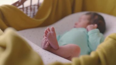 Kafe ziyaretçisinin çaydanlıktan güzel, orijinal çay fincanına çay dökerkenki yakın çekimi. Aromatik sıcak içecek. Meyveler havayı kokuyla dolduruyor. Restoranda ilginç kavramsal yemekler..