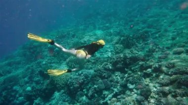 Freediver denizde mercan resifini araştırıyor. Serbest dalış, bir insanın nefesini tutarak deniz suyuna daldığı bir spordur. Profesyonel ekipmanlar olmadan derinlere dalmanın aşırı bir çeşidi.