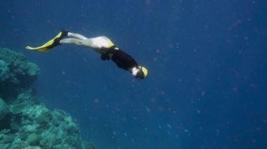 Denizde serbest dalgıç. Serbest dalış, bir insanın nefesini tutarak deniz suyuna daldığı bir spordur. Profesyonel ekipmanlar olmadan derinlere dalmanın aşırı bir çeşidi..