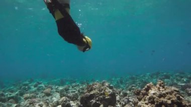 Kızıl denizin mercan kayalıklarını araştıran oldukça serbest bir dalgıç. Serbest dalış, bir insanın nefesini tutarak deniz suyuna daldığı bir spordur. Sualtı dalgıçlığının ekstrem bir türü