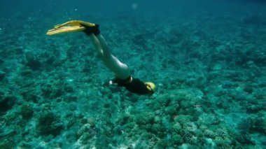 Mercan resiflerini araştıran oldukça serbest bir dalgıç. Serbest dalış, bir insanın nefesini tutarak deniz suyuna daldığı bir spordur. Profesyonel olmayan bir sualtı dalgıcı.