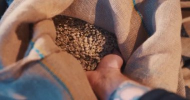 Kavrulmuş kahve çekirdekleri uçar ve ağır çekimde siyah bir arka planda döner. Taze kızarmış kahve çekirdekleri üretim fabrikası. Soğutma tabağında hazır kahve çekirdekleri..