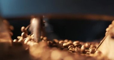 Kavrulmuş kahve çekirdekleri uçar ve ağır çekimde siyah bir arka planda döner. Taze kızarmış kahve çekirdekleri üretim fabrikası. Soğutma tabağında hazır kahve çekirdekleri..