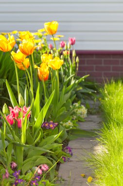 Çiçek ve Bahçe çim arasında küçük taş yol