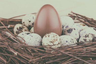 Büyük çikolata yumurta ve küçük bıldırcın yumurtası