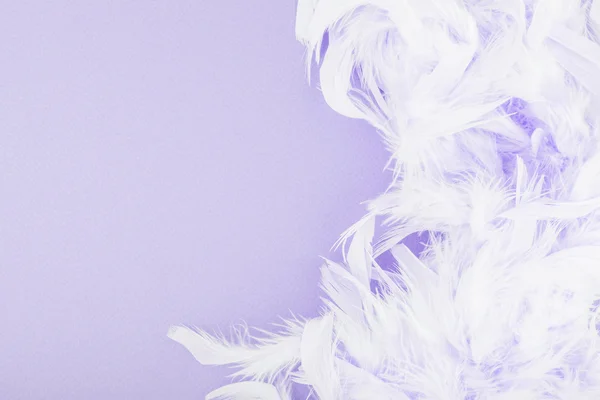 Set Purple Feathers On White Background Stock Illustration 1852198774